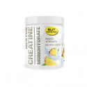 Elit 100 % Pure Creatine Monohydrate, 300 g, Pineapple