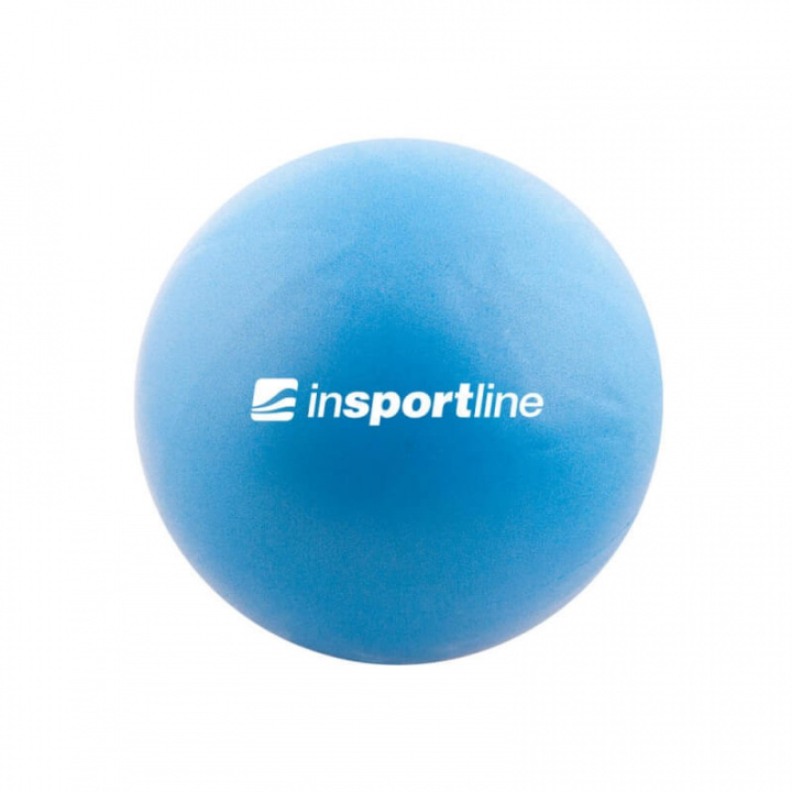 Tjek Aerobic Ball, inSPORTline på SportGymButikken.dk