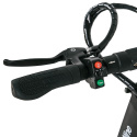 El-scooter Fortor, black, inSPORTline