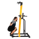 Power Tower Pull-Up Station PT250, inSPORTline