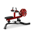 Seated calf PLSC, Steelflex