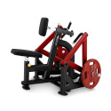 Seated Row PLSR, Steelflex