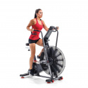 Airdyne AD8, Schwinn